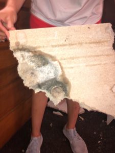 Local TV news investigates mold in AU dorms…